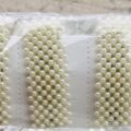 VN60 VINCHAS ELEGANTES