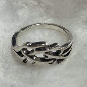 Anillo de ramas