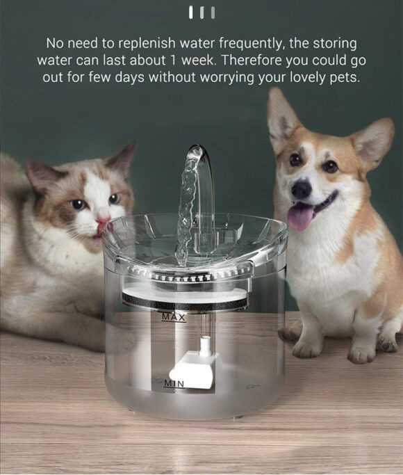 Fuente de agua para mascotas - Image 3