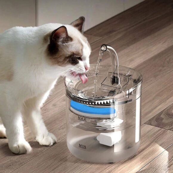 Fuente de agua para mascotas - Image 4
