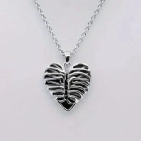 VN1124 Collar de Corazón Zirconio Costillas Esqueléticas