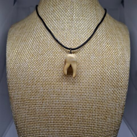 SP82 Collar de Diente