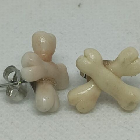 SP108 Aretes Huesos crusados