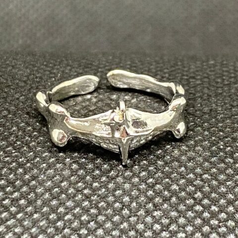 VN1245 Anillo Destello de Plata